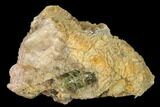 Yellow-Green Fluorapatite Crystal in Calcite - Ontario, Canada #137107-1